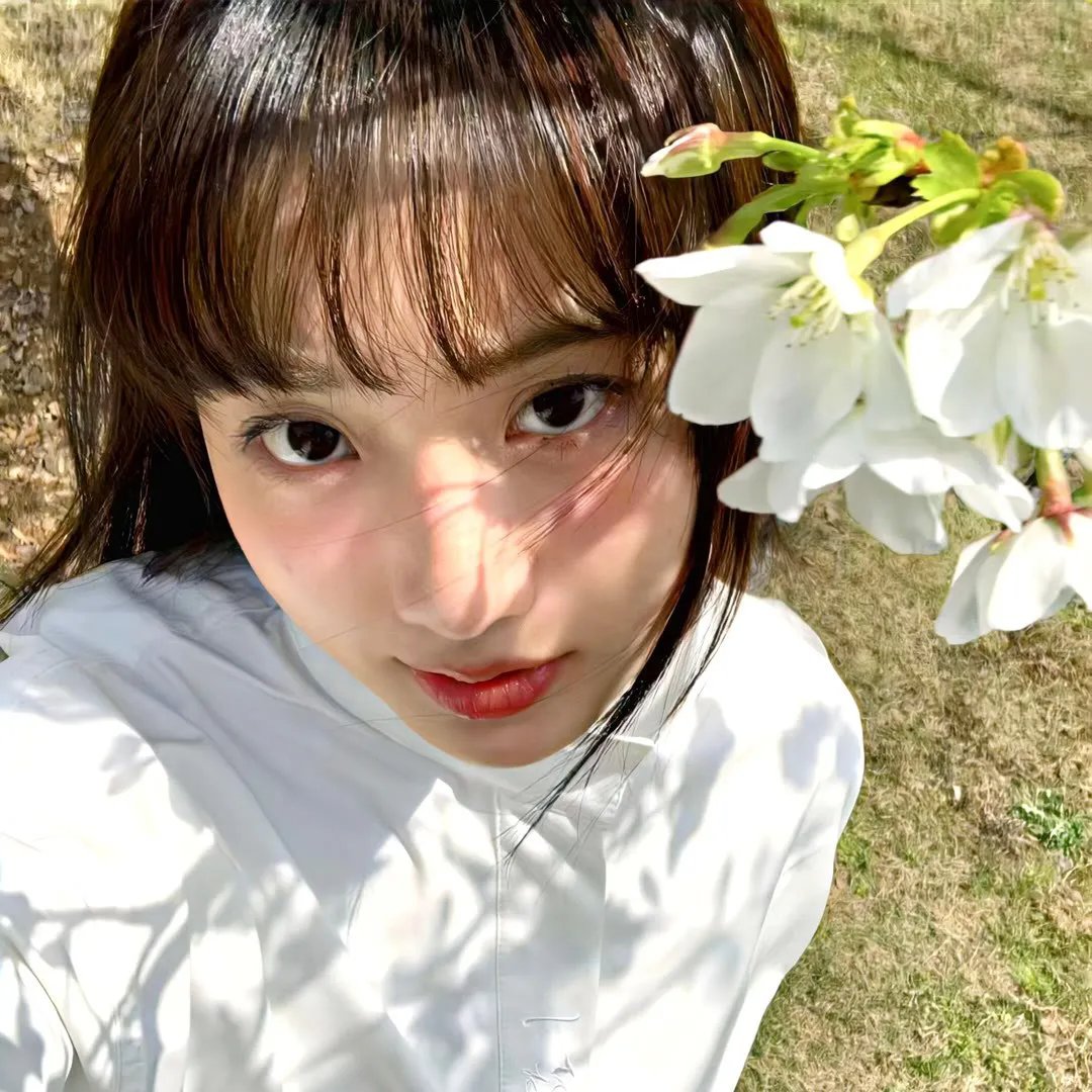 狼2019